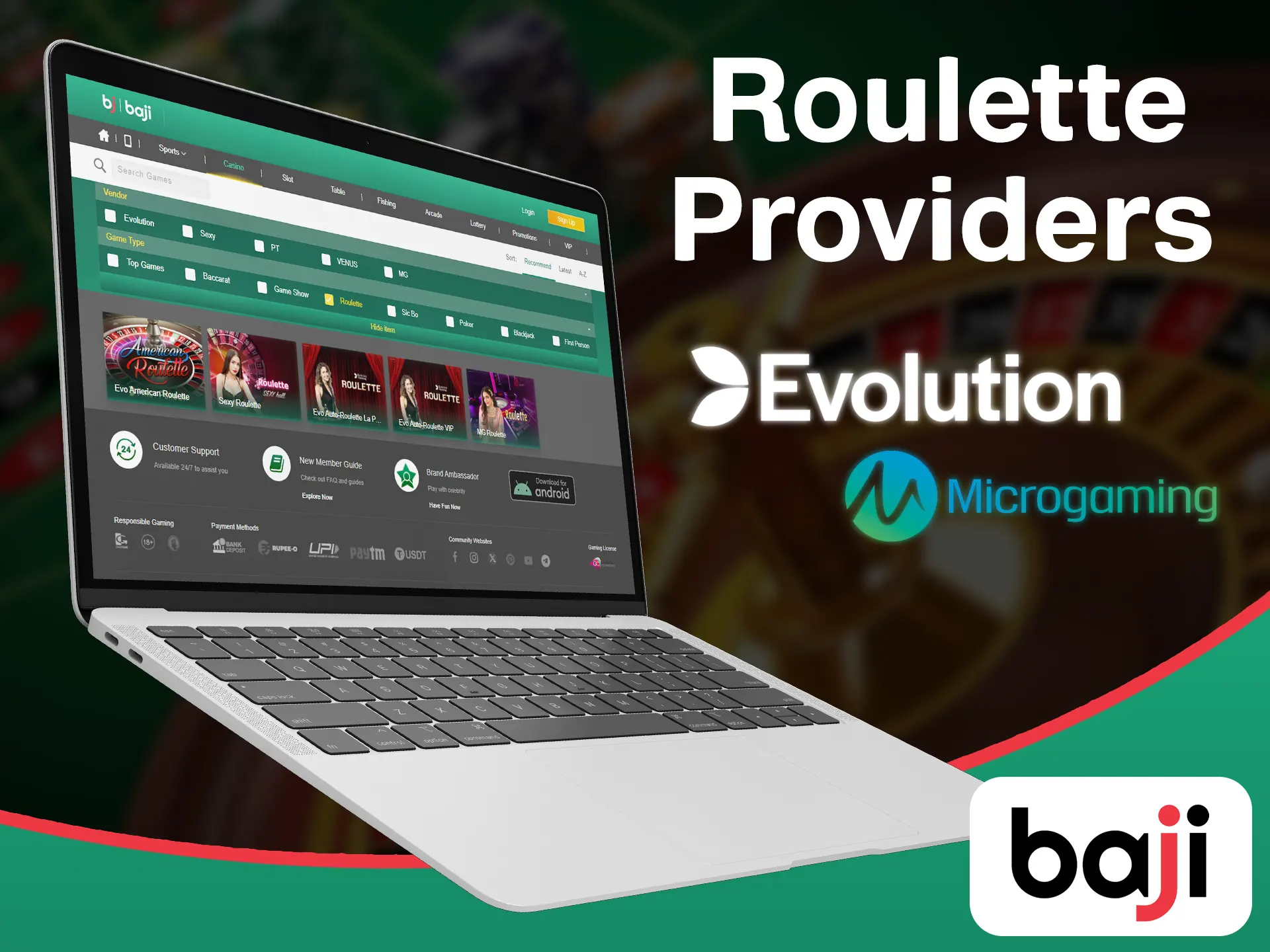 Try roulette from each available provider at the Baji.