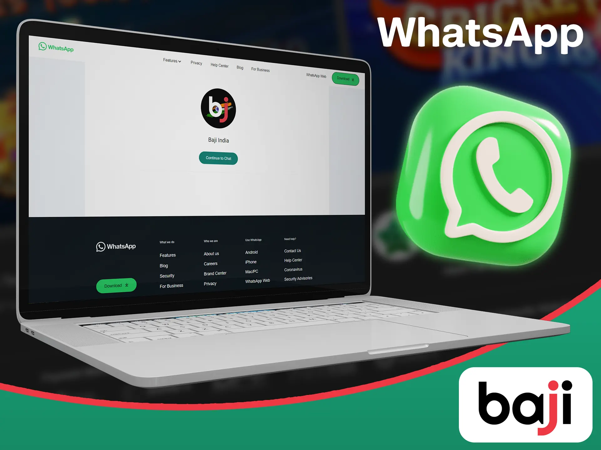 Contact Baji by using WhatsApp.